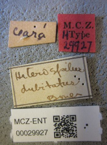 Media type: image;   Entomology 29927 Aspect: labels